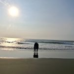 eecd3d6e-ab77-4e8a-b38f-2c5b6a76f9c0